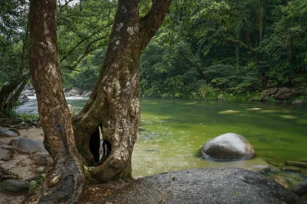 Tourism Training Experience - training detail