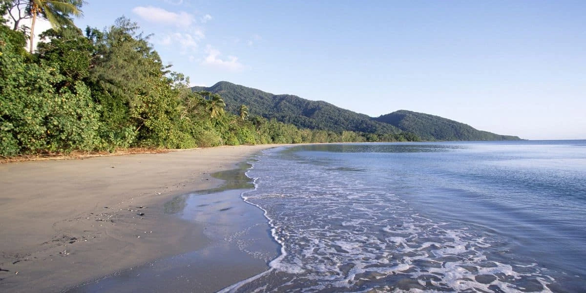 Beginner Starter Pack - training detail